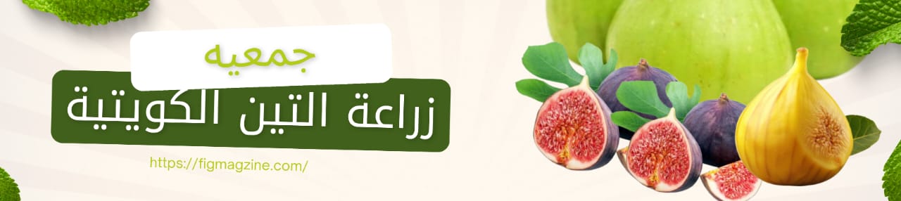 Custom Header