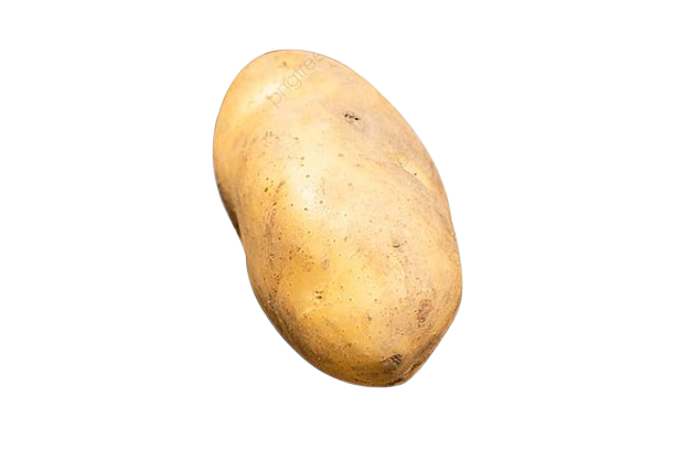 بطاطا