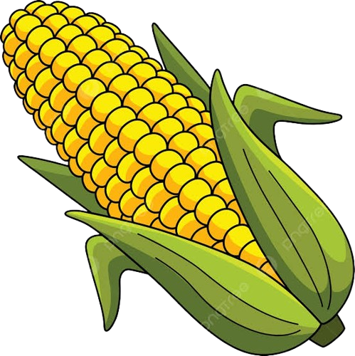 ذرة
